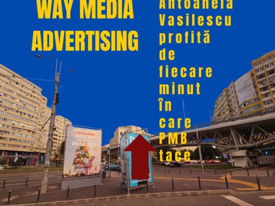 Way Advertise Production SRL, Antoanela Vasilescu și controversa publicității fără avize în 2025